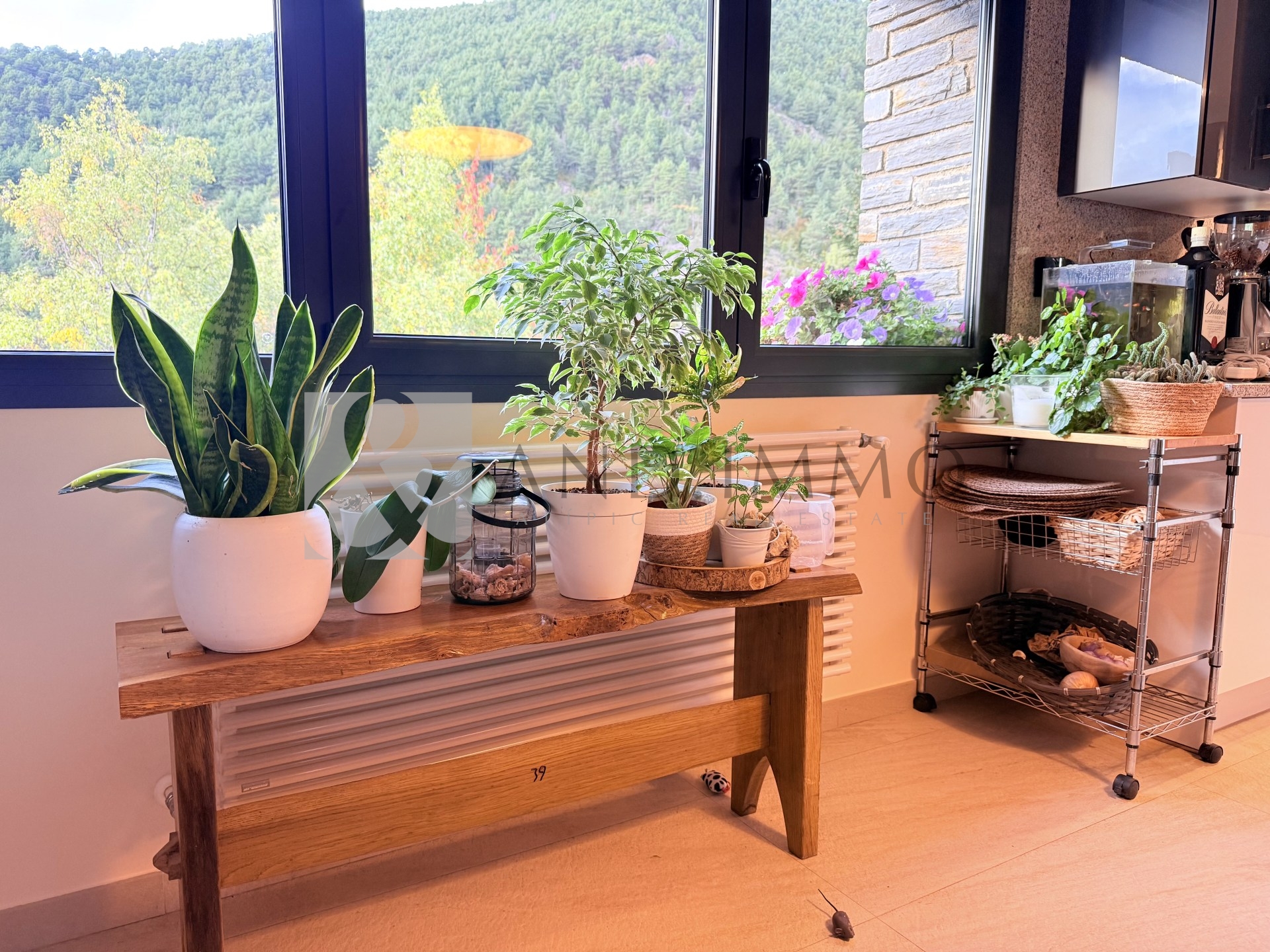 Chalet en venta en Anyós, 4 habitaciones, 503 metros